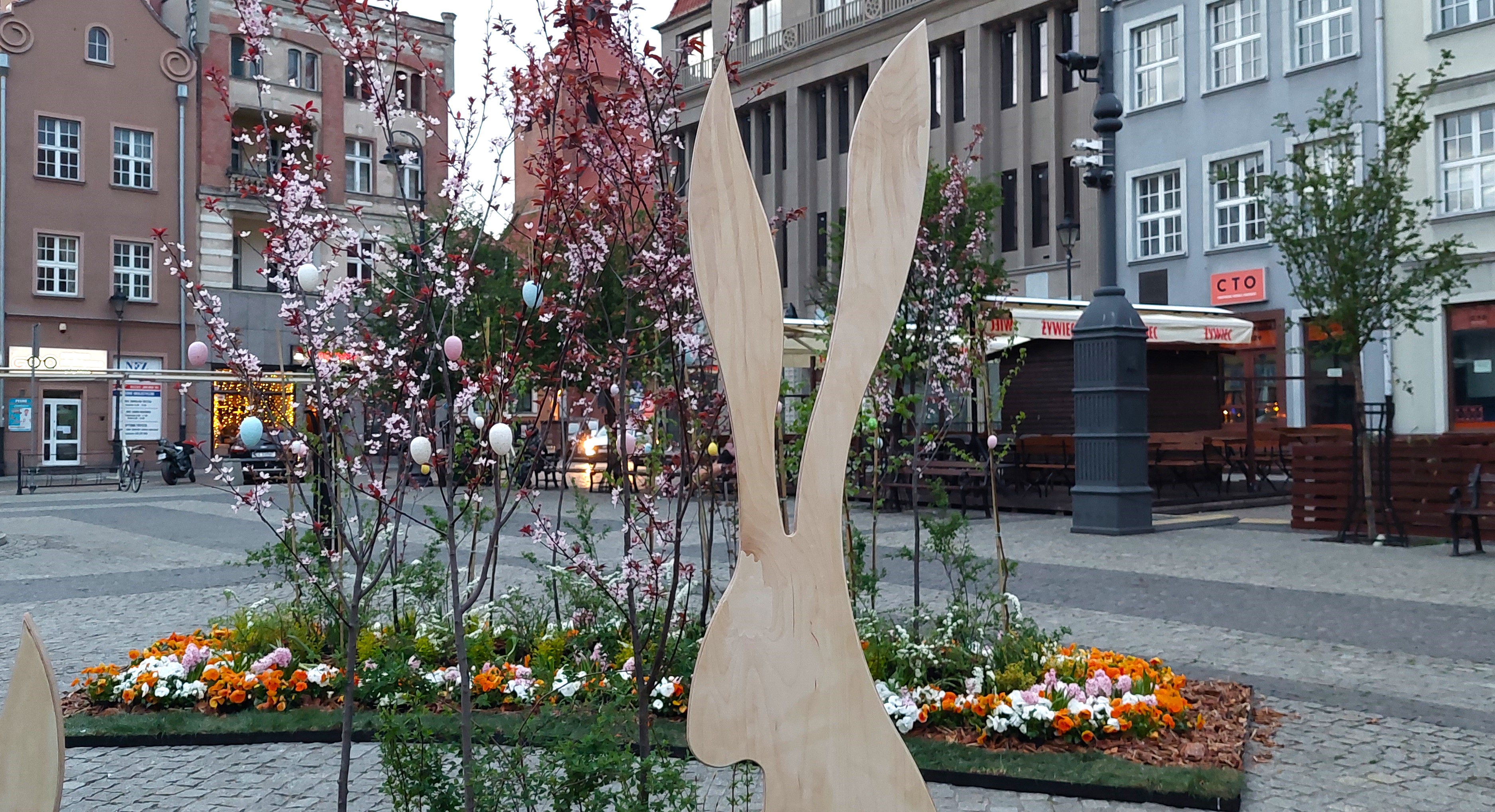 Kolorowe klomby z kwiatów, krzewów i drzewek zdobią Rynek w Grudziądzu. Wielkanocne dekoracje przyciągają spacerowiczów (zdjęcia)