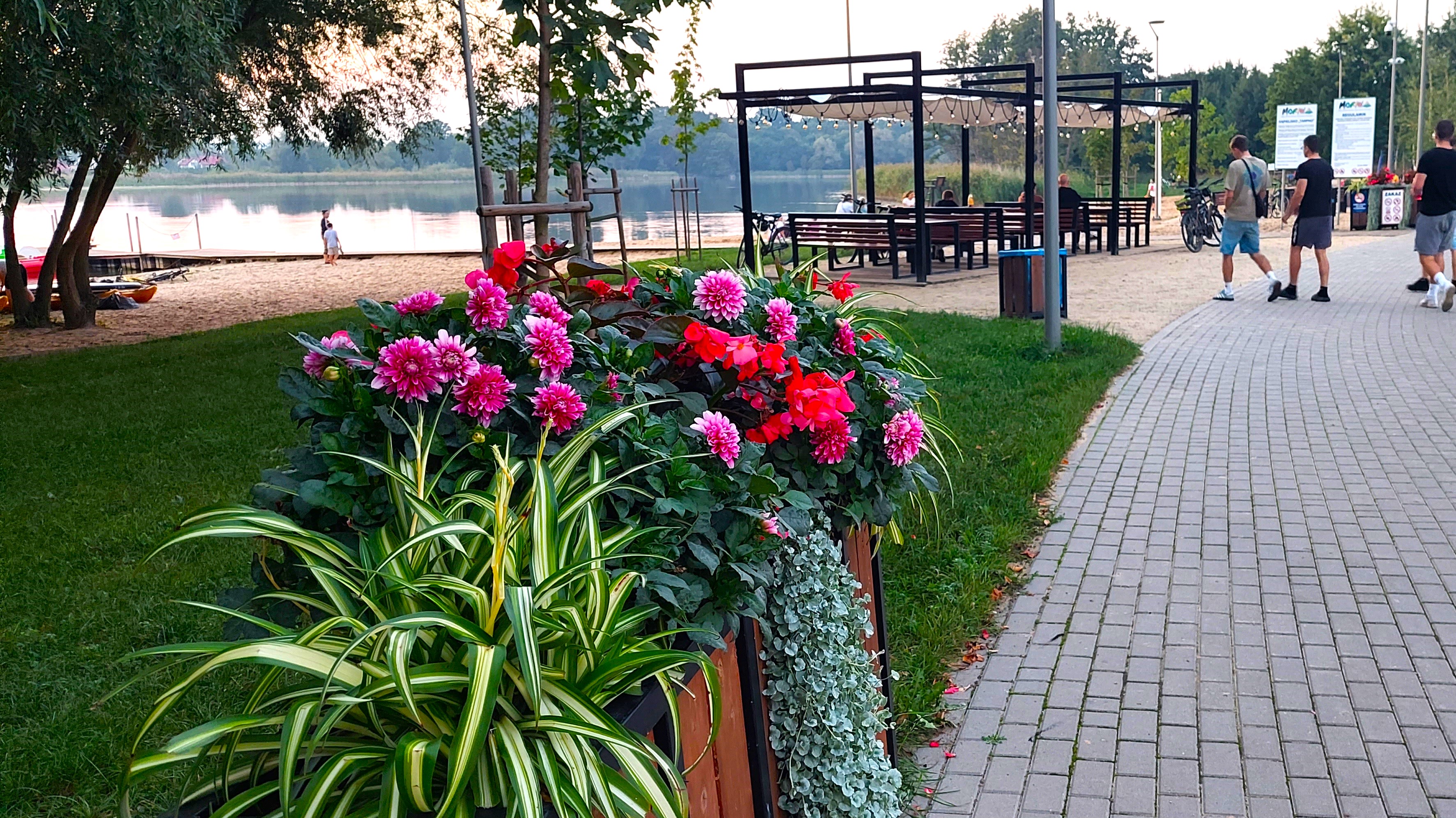 Wyznaczone są kursy na linii autobusowej nr 4, którymi od 1 czerwca dojedziemy do plaży miejskiej w Tarpnie (sprawdźcie rozkłady jazdy A4 i innych linii sezonowych)