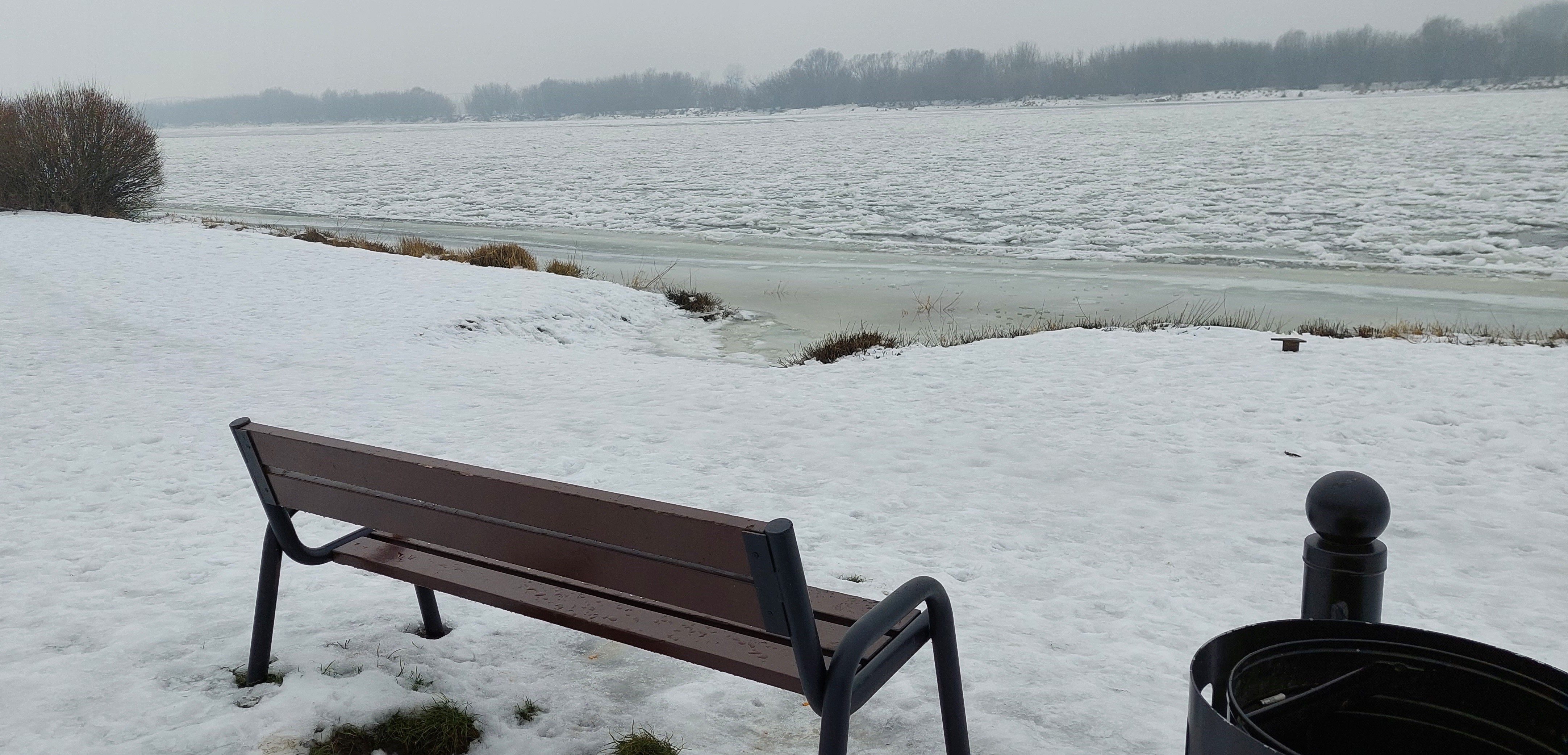 Bezkresna biel na błoniach nadwiślańskich w Grudziądzu, Wisła skuta lodem. Niesamowita, zimowa sceneria (zdjęcia)