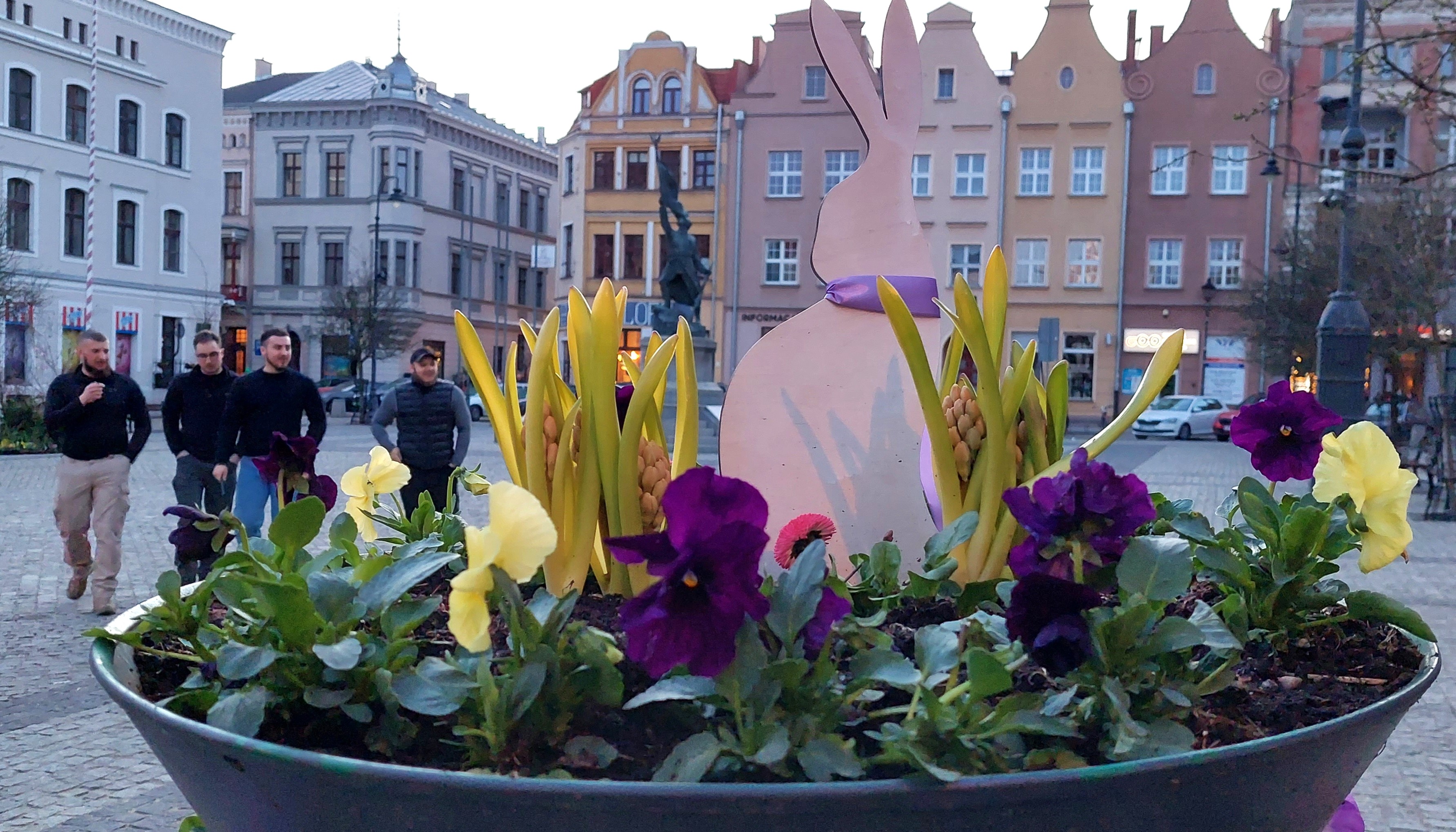 Rynek Główny w Grudziądzu udekorowany na Święta Wielkanocne. Są zające, kwiaty, krzewy, drzewka, trawy i kolorowe jajka… (zdjęcia)